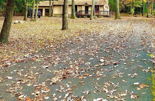 Go karts, skiing, Atv tours, waterpark, spa, shopping less than 24 minutes away!