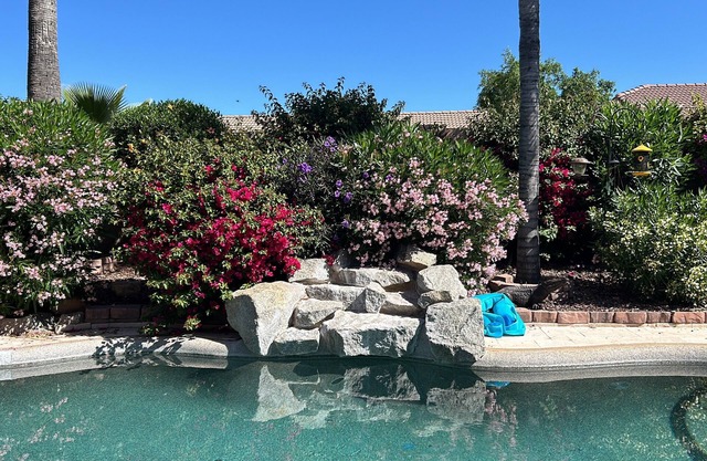 Gold Canyon AZ Desert Paradise, Heated Private Pool/Spa, Mt Views, Golf/Hikingn