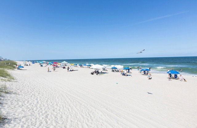 Golden Sands Carolina Beach Oceanfront, Tapestry by Hilton