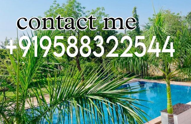 Golden tulip by Private Pool farmhouse Gurgaon