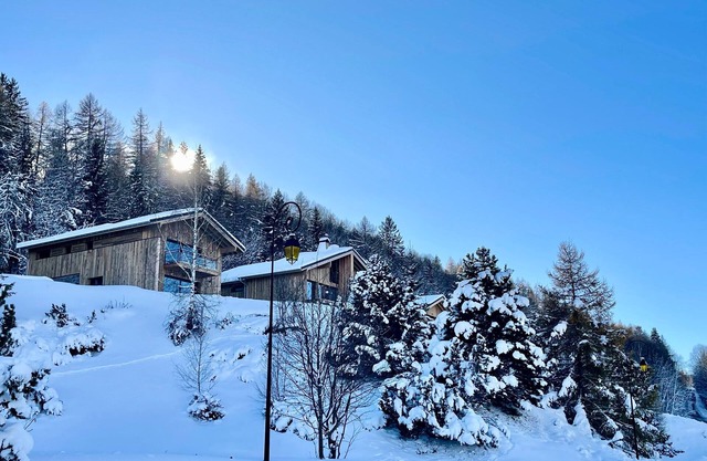Gorgeous 6-room chalet, jacuzzi and sauna, near slopes in La Plagne Montalbert