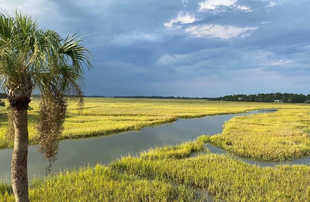 Gorgeous Marsh Views, Across from the Beach