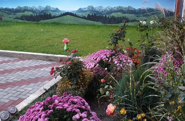 Gostievoi domik s saunoi