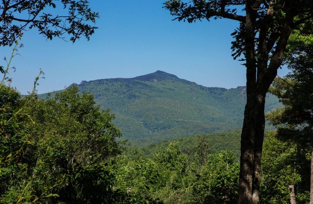 Grandfather Knows 4BR, sleeps 10, 3.5 BA, 3 King BR`s plus bunk room sleeps 4