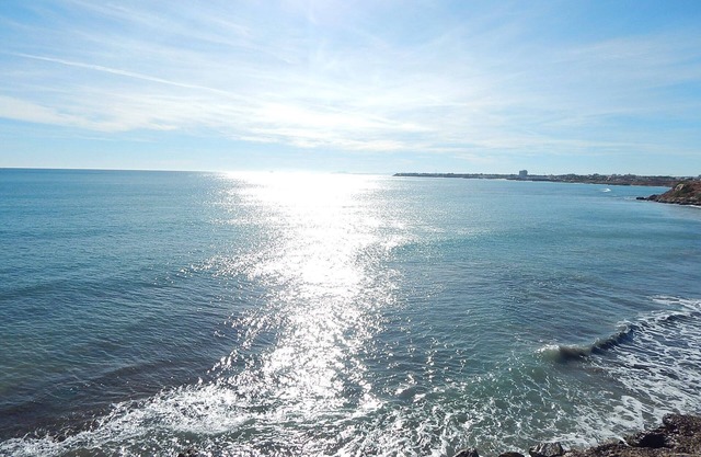 Great 3 Bed 1 Bath Apartment Los Altos with roof terrace