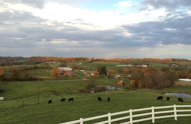 Great for Friends & Families, Breathtaking View, Nature Trails, Farm Animals