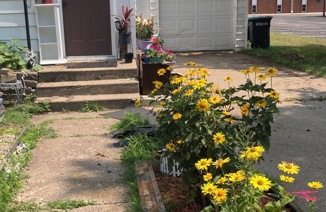 Great Location in Little Falls, 3 Bedrooms, Cozy and Modern, WiFi, Fenced Yard