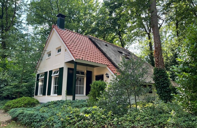 GREAT TIT - AMONG THE TREES!