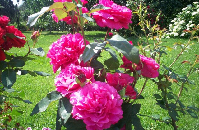 Guest House Valentina