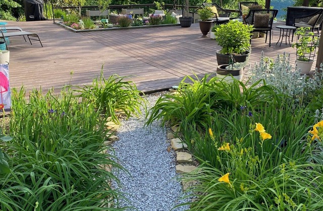 Guest house with a view