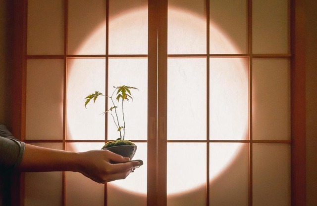 Guesthouse Chayama