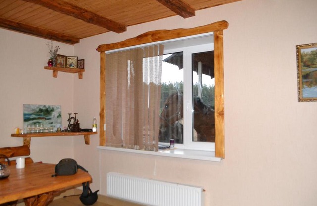 Guesthouse Konny dvor Loschinino