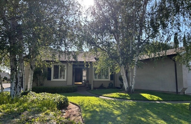 Ham Station - 3 B/2 BA - Bright & Cheery Home - A Dog’s Dream!