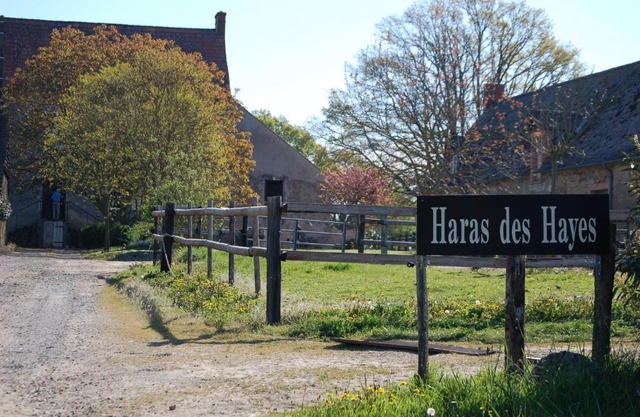 Haras des Hayes