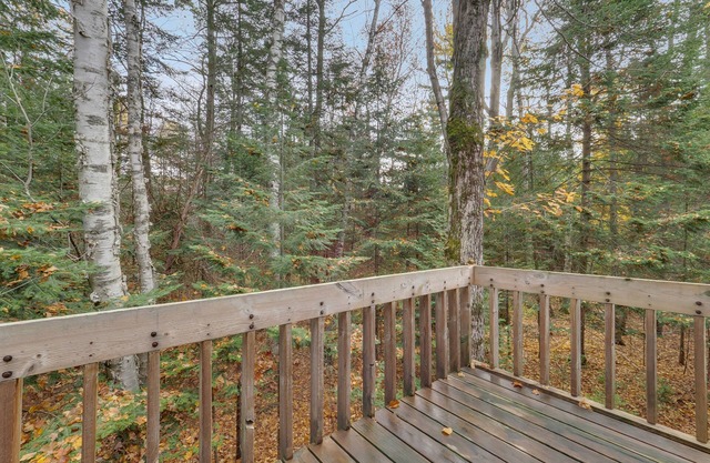 Harbor Cove Condo Near Ski Resorts