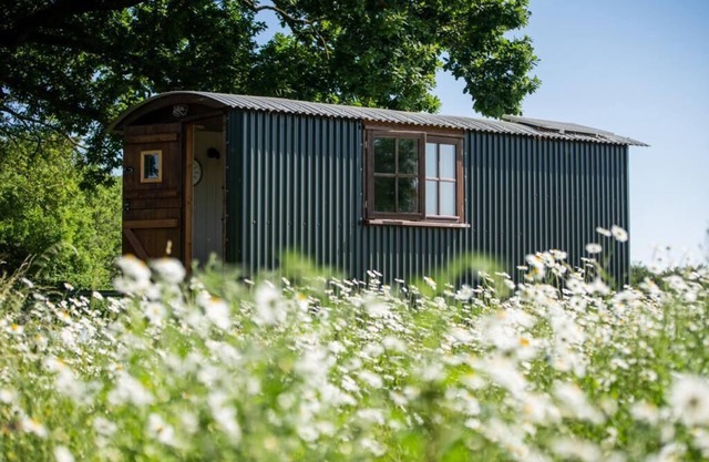 Harbour Ranch Hut - Rustic Countryside Escape