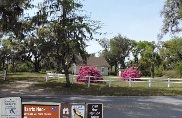 Harris Neck National Wildlife Refuge Cabin - Suite B