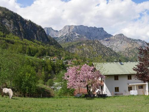 Haus Schiller