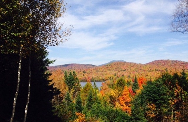 Have a cup of coffee, beer or glass of wine at this writer's retreat