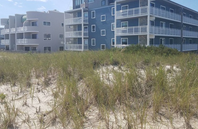 Hear the Ocean from this Lovely Condo in Renovated Beachfront Building