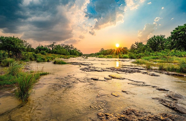 Heaven Can't Wait at King River Ranch. Furry Angels Welcome
