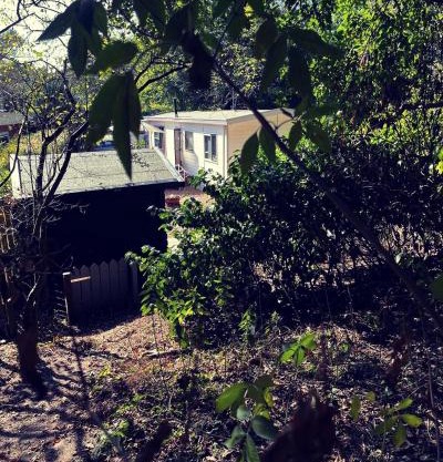 Heerlijk bos chalet met ongekende rust en vrijheid