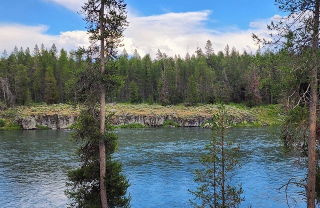 Henry's Fork Retreat, stunning river views, footpath to river