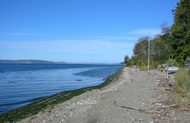 High Bank Hood Canal Waterfront Home