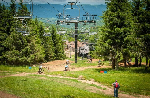 Hike, Bike, Wineries! Fireplace & Level Entry!