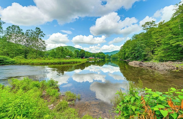 Hike & Fish: Delaware River Cabin w/Views