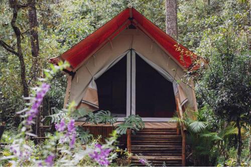 Hodota Ankroet Resort