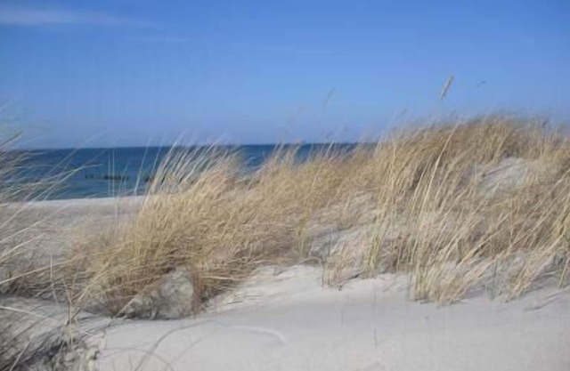 Holiday apartment Graal-Müritz for 1 - 3 persons - Holiday apartment