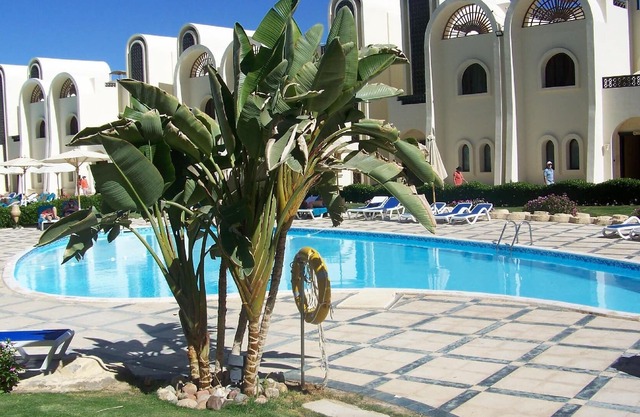 Holiday apartment Sahl Hasheesh for 1 - 4 persons with 1 bedroom - Holiday apartment