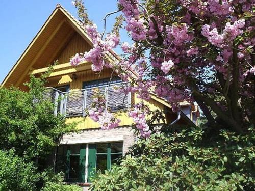 Holiday apartment in Varel with swimming pool