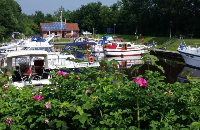 Holiday apartment Surwold for 1 - 4 persons with 2 bedrooms - Holiday apartment
