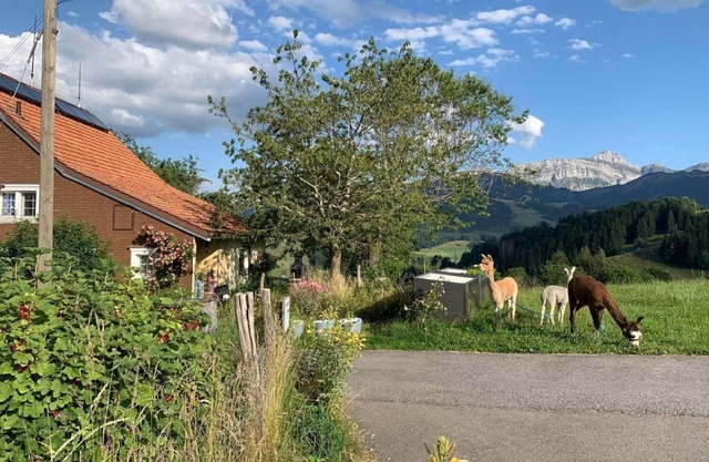 holiday apartment Windegg