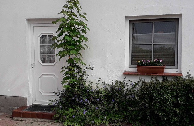 Holiday apartments in the Vinetastadt Barth