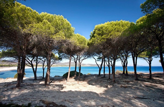 Holiday Home 'Casa Pina' with Sea View, Private Terrace and Air Conditioning