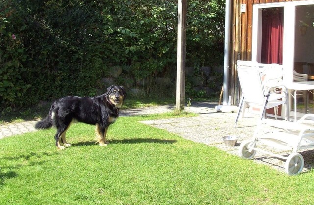 Holiday home in Zandt with garden, terrace and barbecue