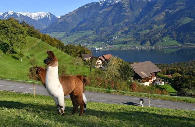 Holiday home with beautiful views of the lake and mountains