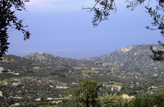 Holiday house olive garden