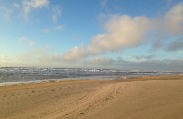 Holiday near the ocean
