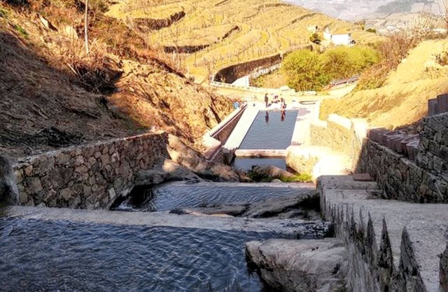 Homerez - Charming Villa with Pool in Lamego