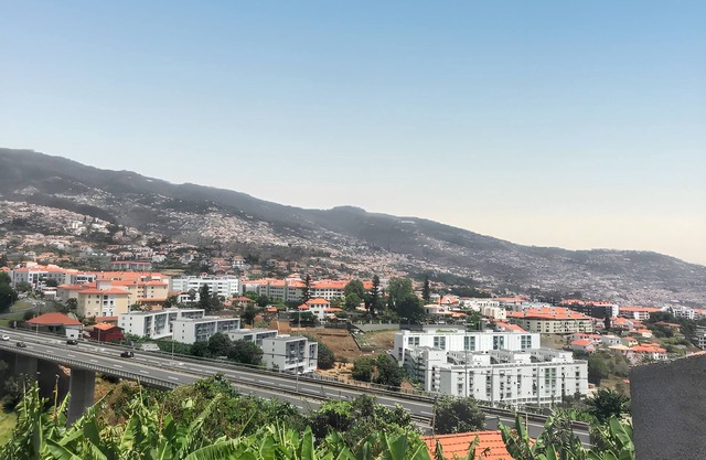 Homerez - Cozy House in Funchal with Sea View