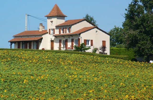 Homerez - House for 7 ppl. with jacuzzi and garden at Castelnau-Montratier