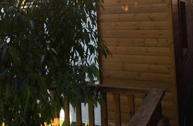 Homerez - Nice bungalow 10 km away from the beach for 4 ppl. at Le tampon