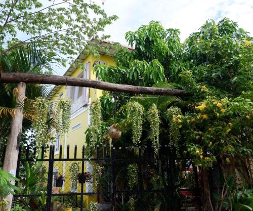 Homestay Yellow Natural House