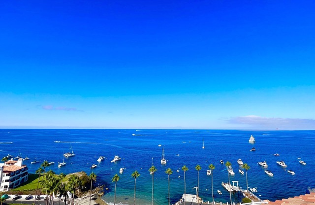 Honeymoon Cove Catalina