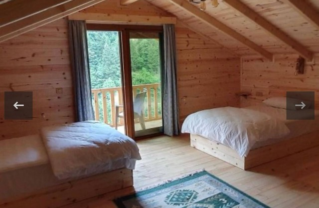 Hostel Viking