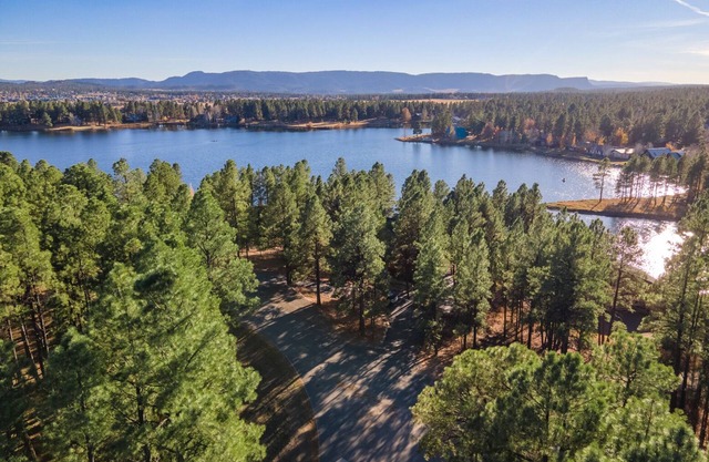 Hot tub, Gorgeous Cabin, Great for Families